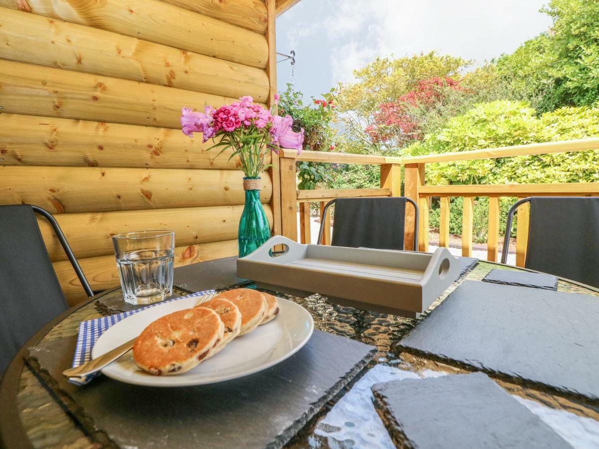 Willow Lodge Tenby Bagian luar foto